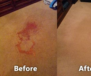 Toothpaste Carpet Cleaner