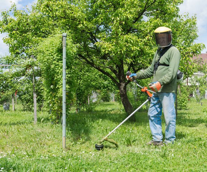 SomeMethods for Maintaining Your Weed Eater.