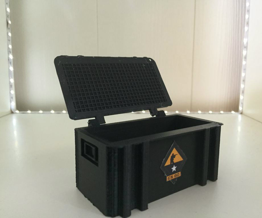 CS:GO Case