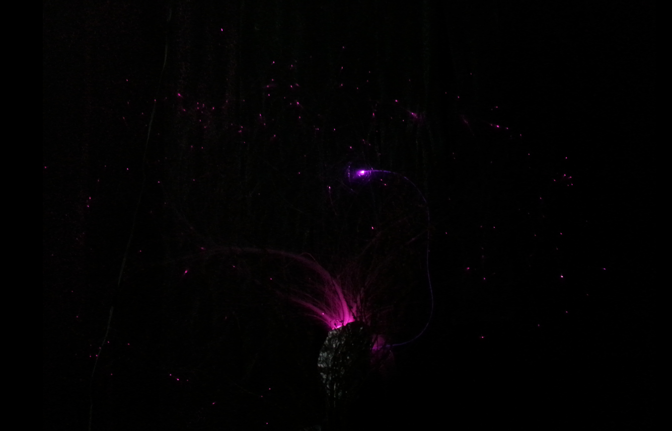 RGB LED Fiber Optic Tree (aka Project Sparkle)