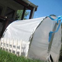 Collection Cover Image: July 3rd Newsletter - 2011