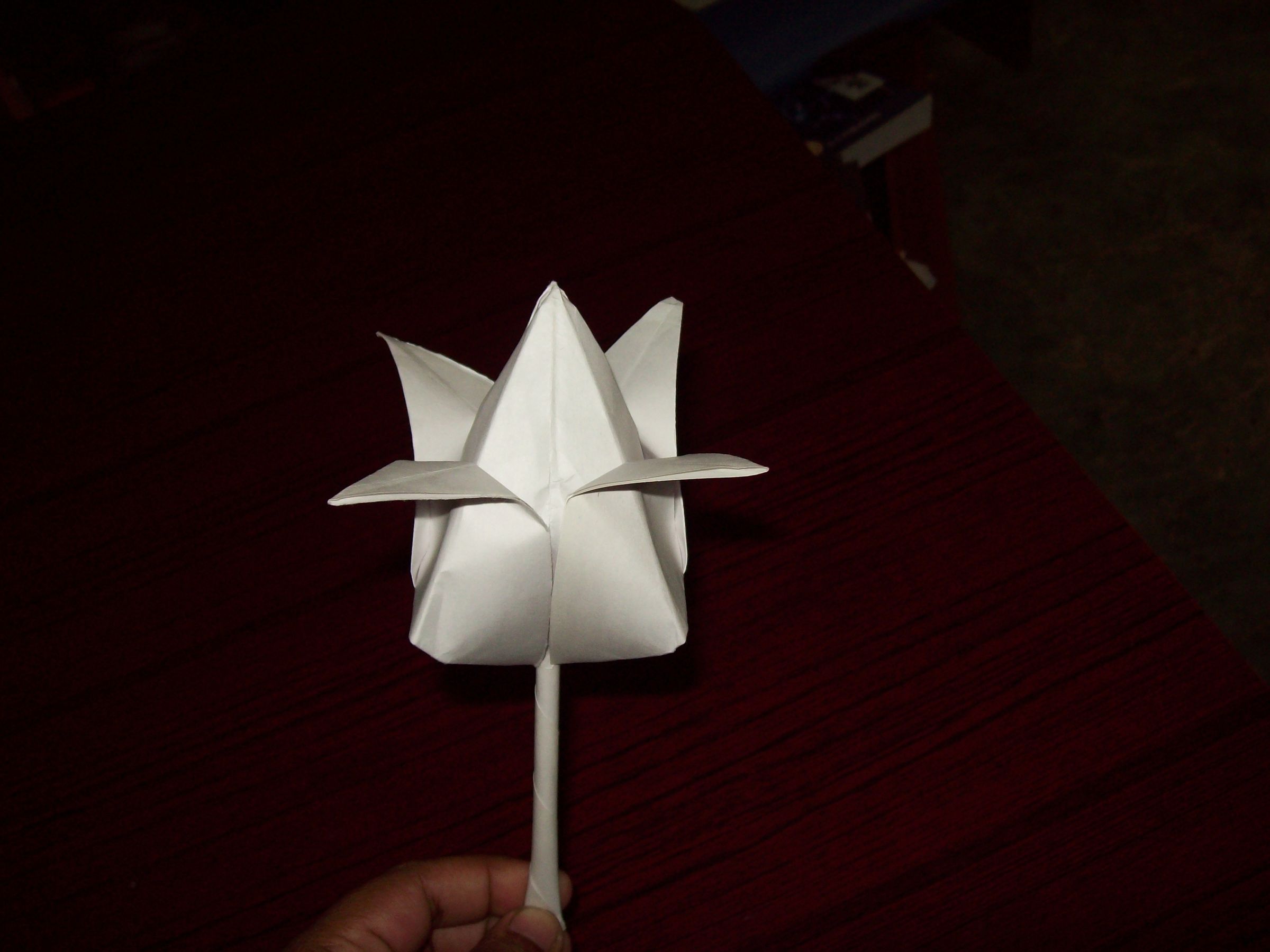 Origami Tulip (Easy)