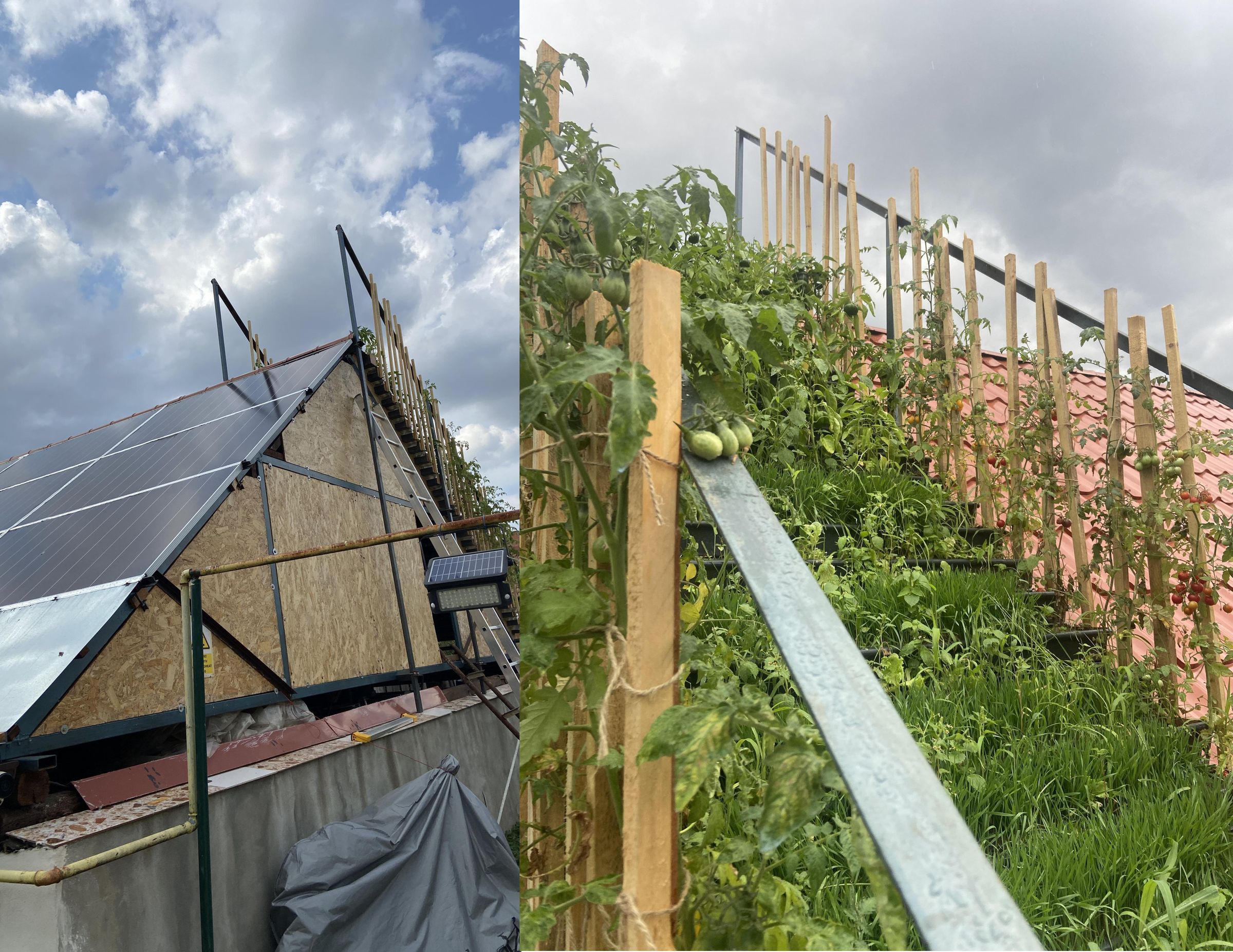 F-Roof: a Multi-function, Single-layer Roof