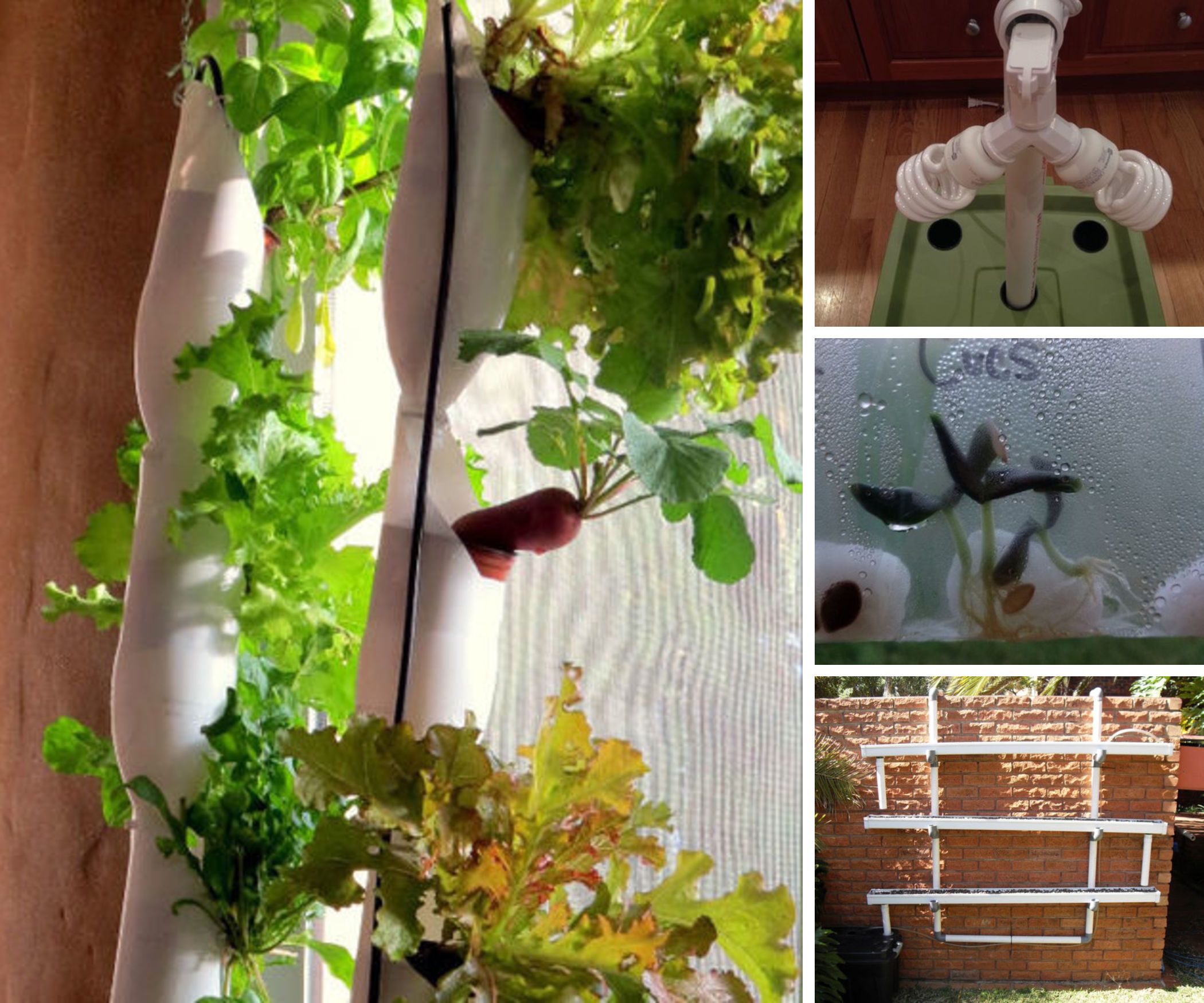 Hydroponics