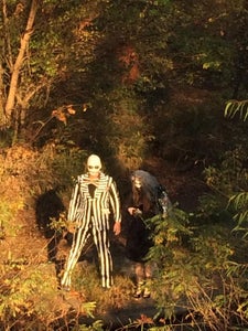 Creating Mr. Skellington
