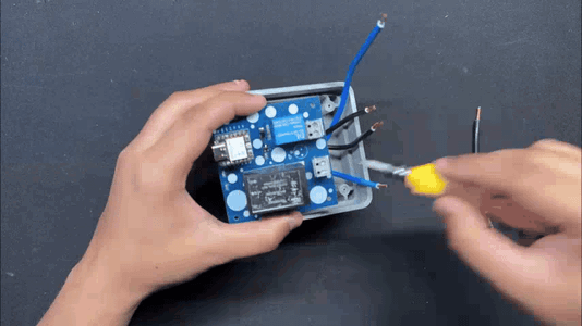 Plug Section Complete Assembly