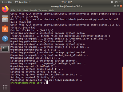 Installation of Esptool, Access GIT Repo, and Test Build.
