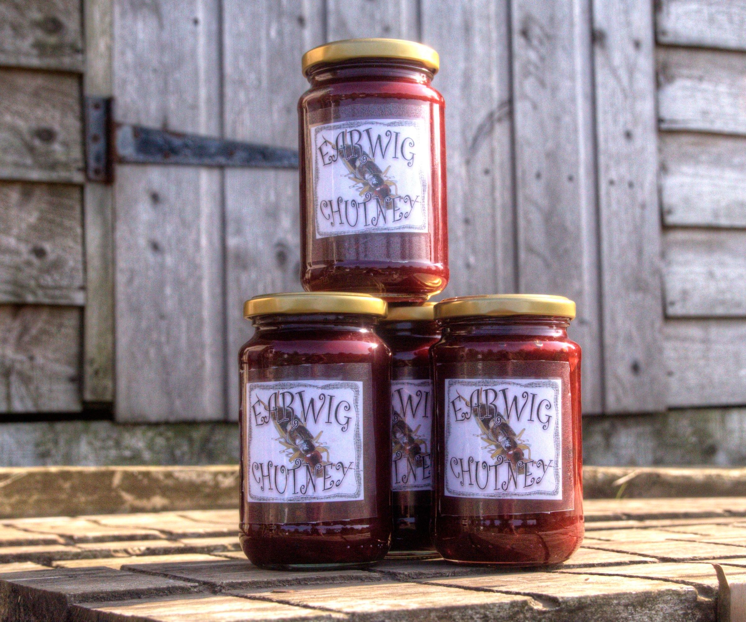 Earwig Chutney - a Grandmother's Confession