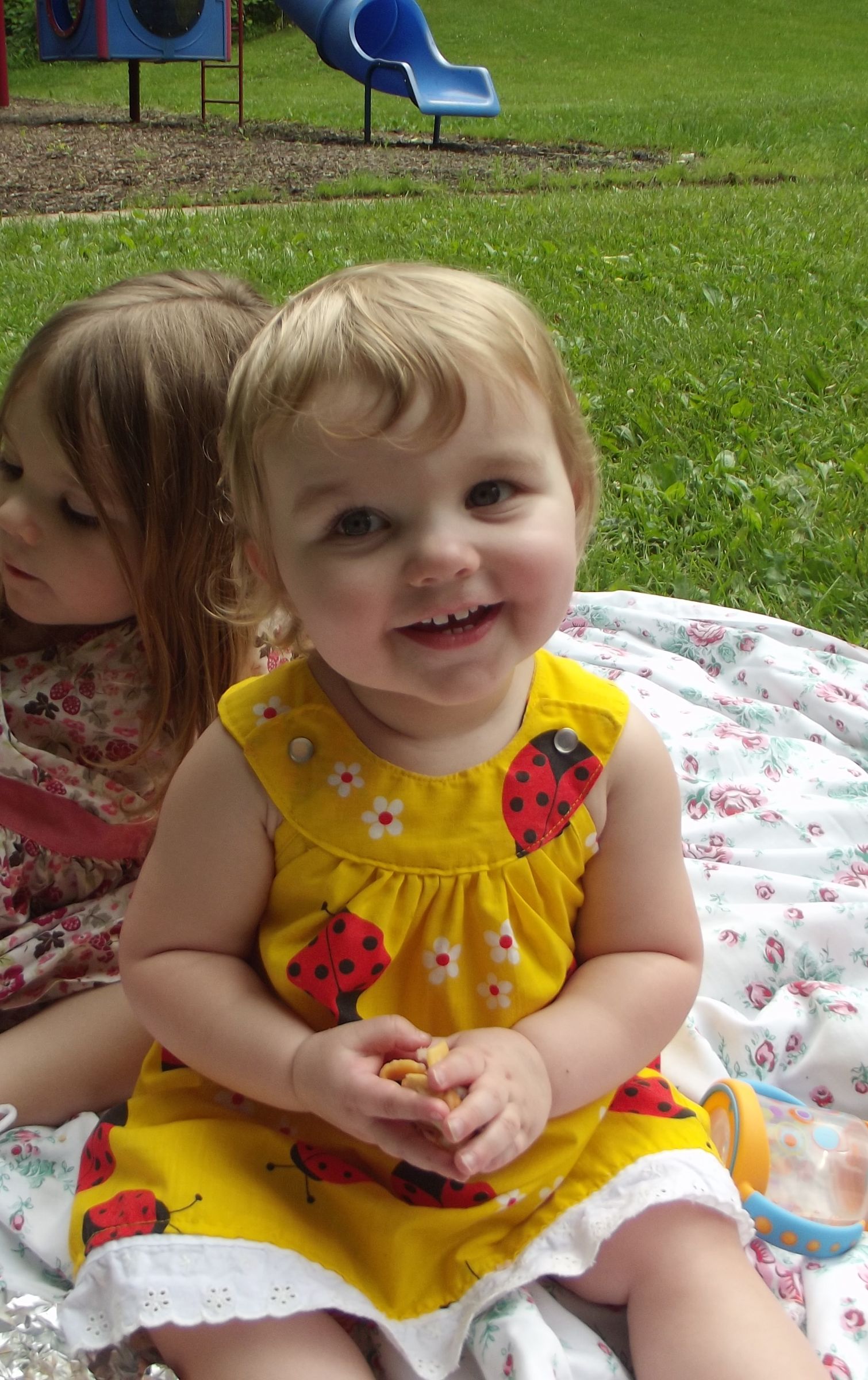 Old School Picnic Fun