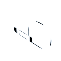 download {{ file.name }}