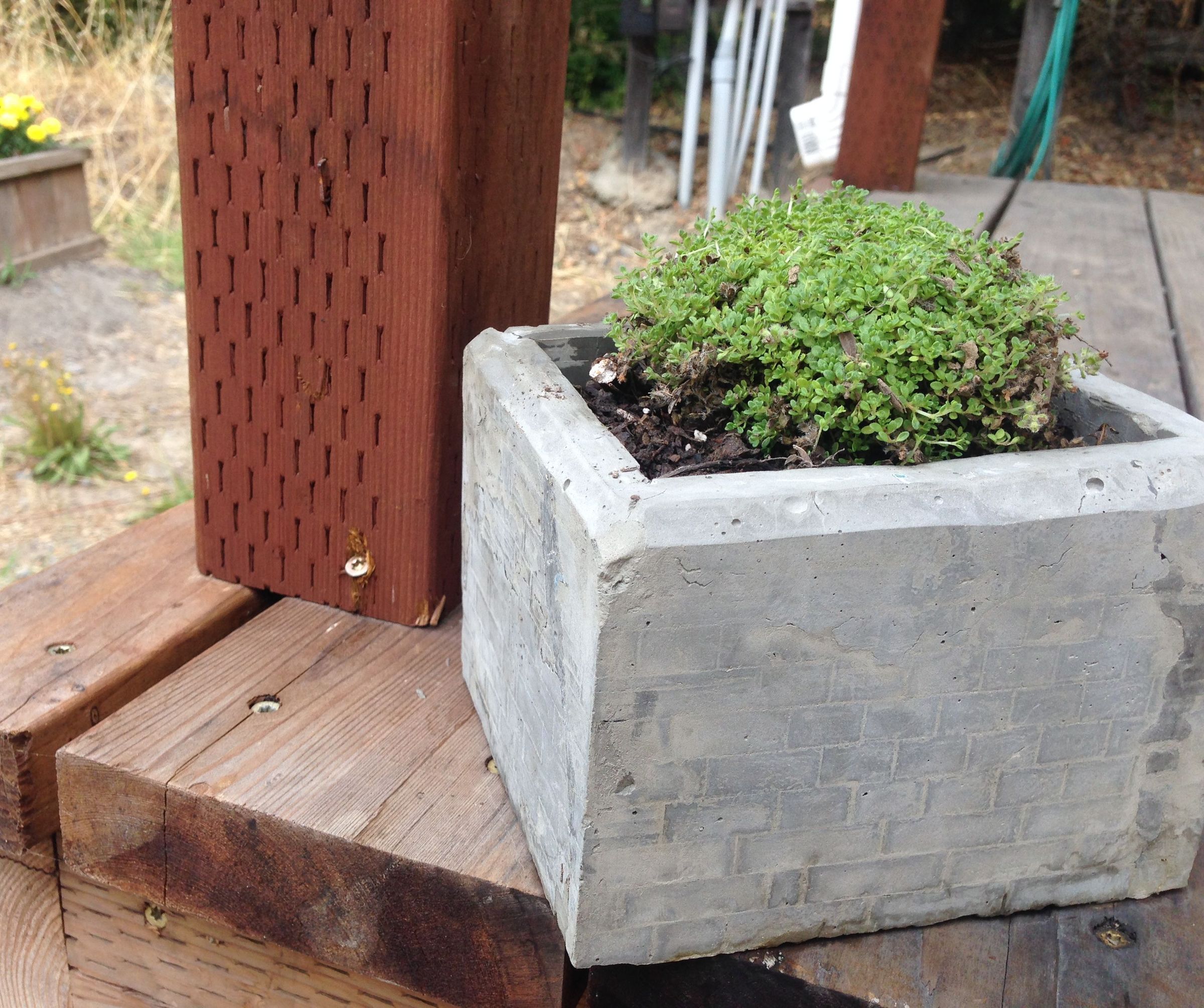 Concrete Pot for Plants