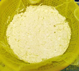 Kitchen Laboratory: Proteins and Cheese Making : 15 Steps (with ...