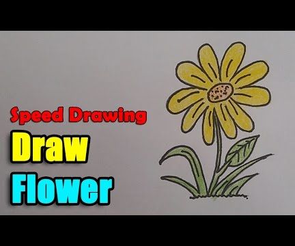  How to Draw Flower