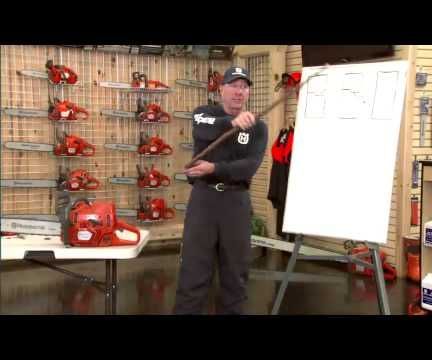 How to cut down a tree using a chainsaw: notch and hinge techniques