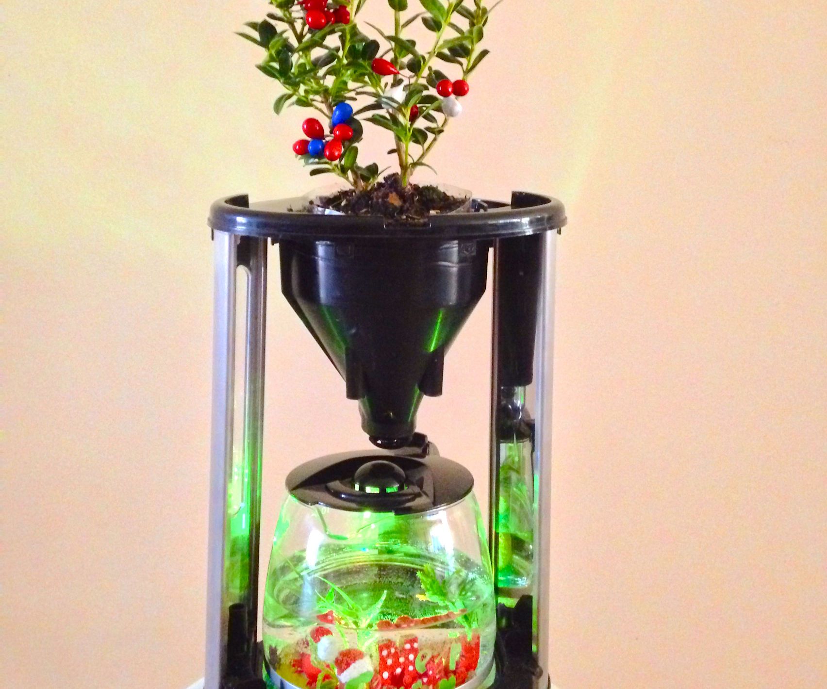 Repurposing Coffee Maker As a Planter