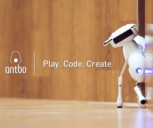 Antbo: Insect Robot Anyone Can Build
