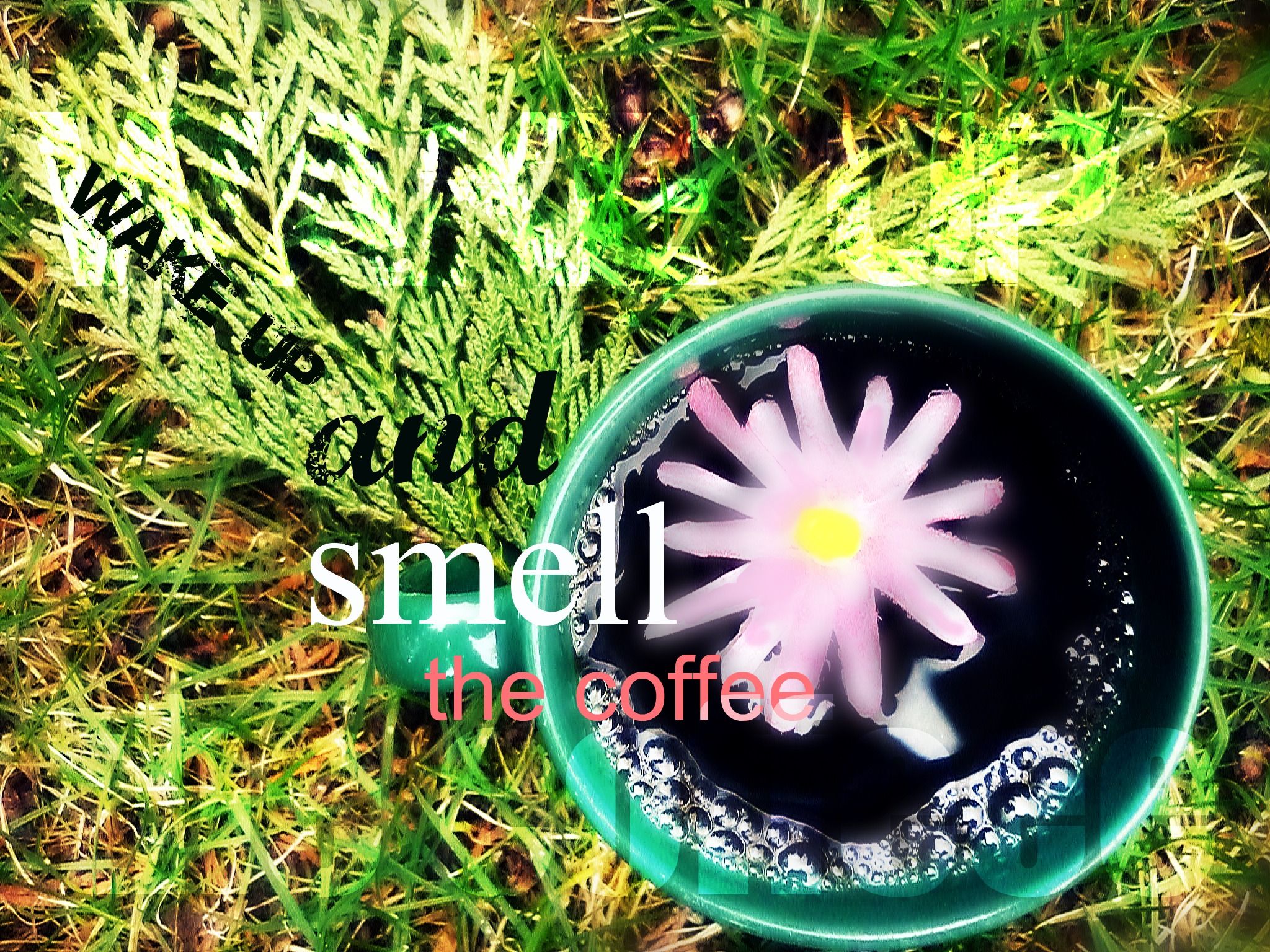 Wake Up and Smell the Coffee