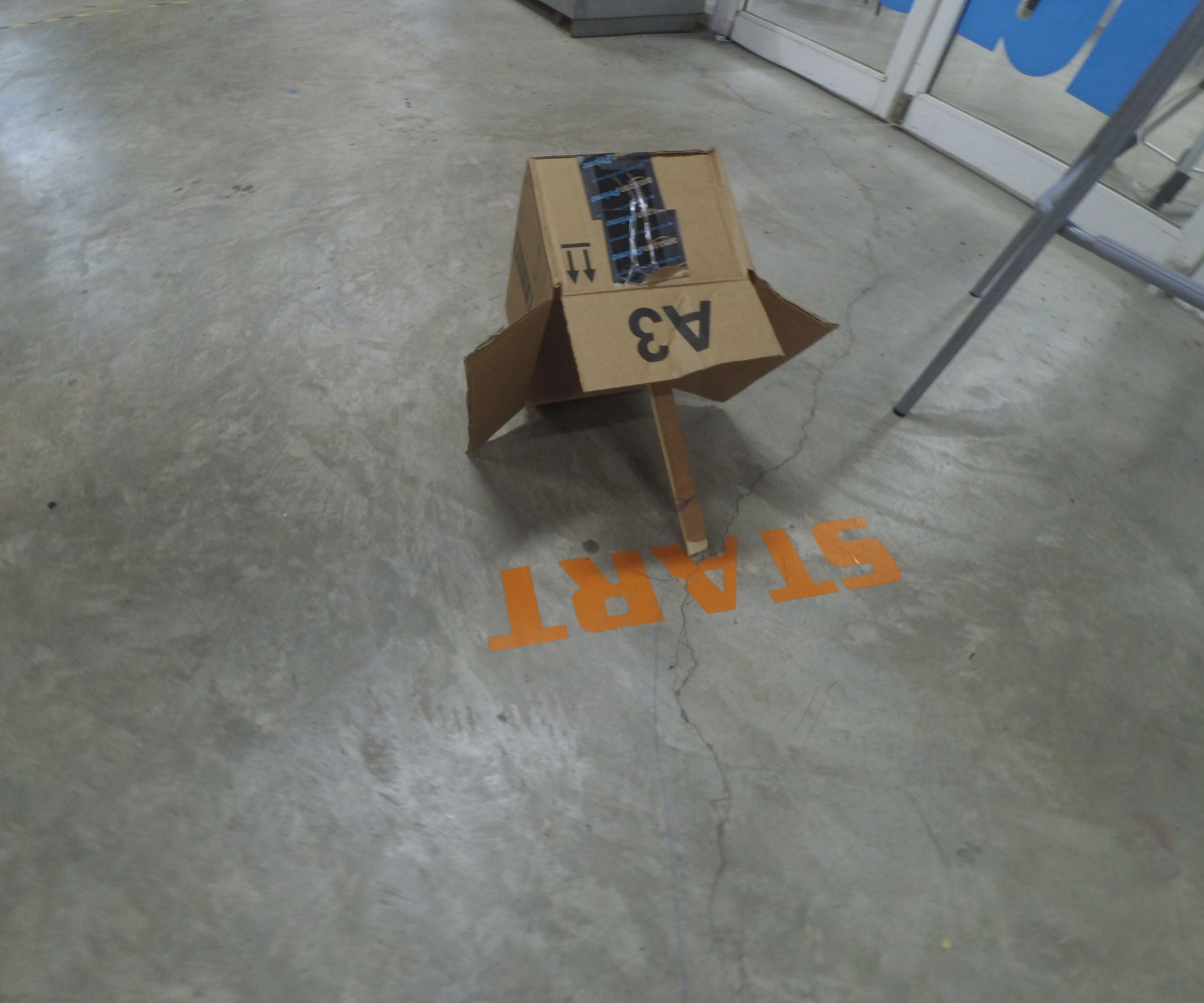 How to Catch Bird With Box