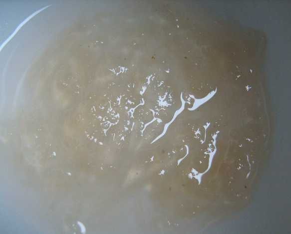 Using Apple Leftovers From Juicing - Pectin & Apple Sauce