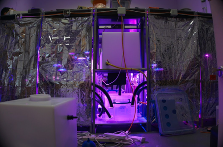 Mitigation of Shock : 6 Steps (with Pictures) - Instructables