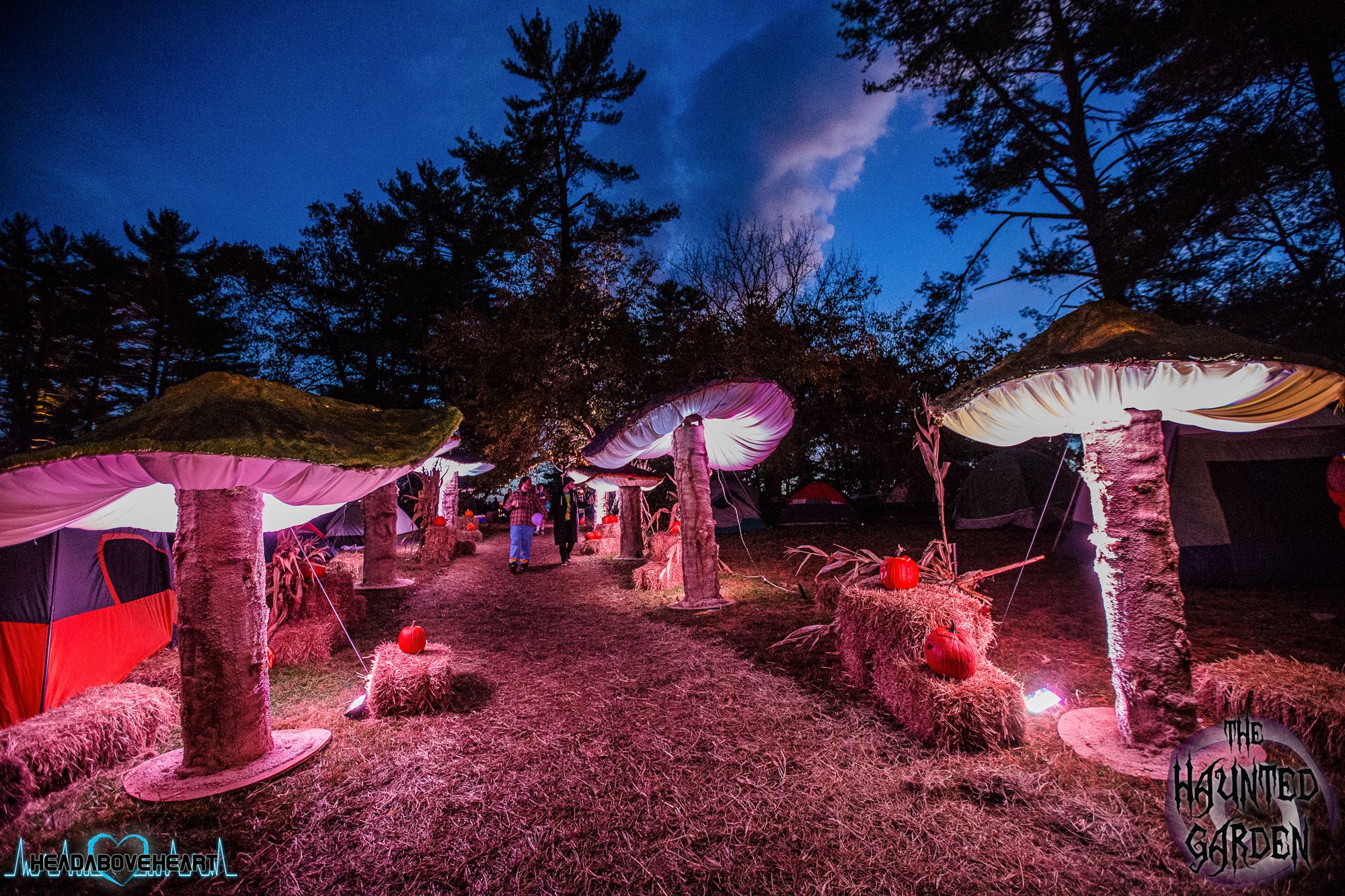 Giant Mushrooms : 5 Steps (with Pictures) - Instructables