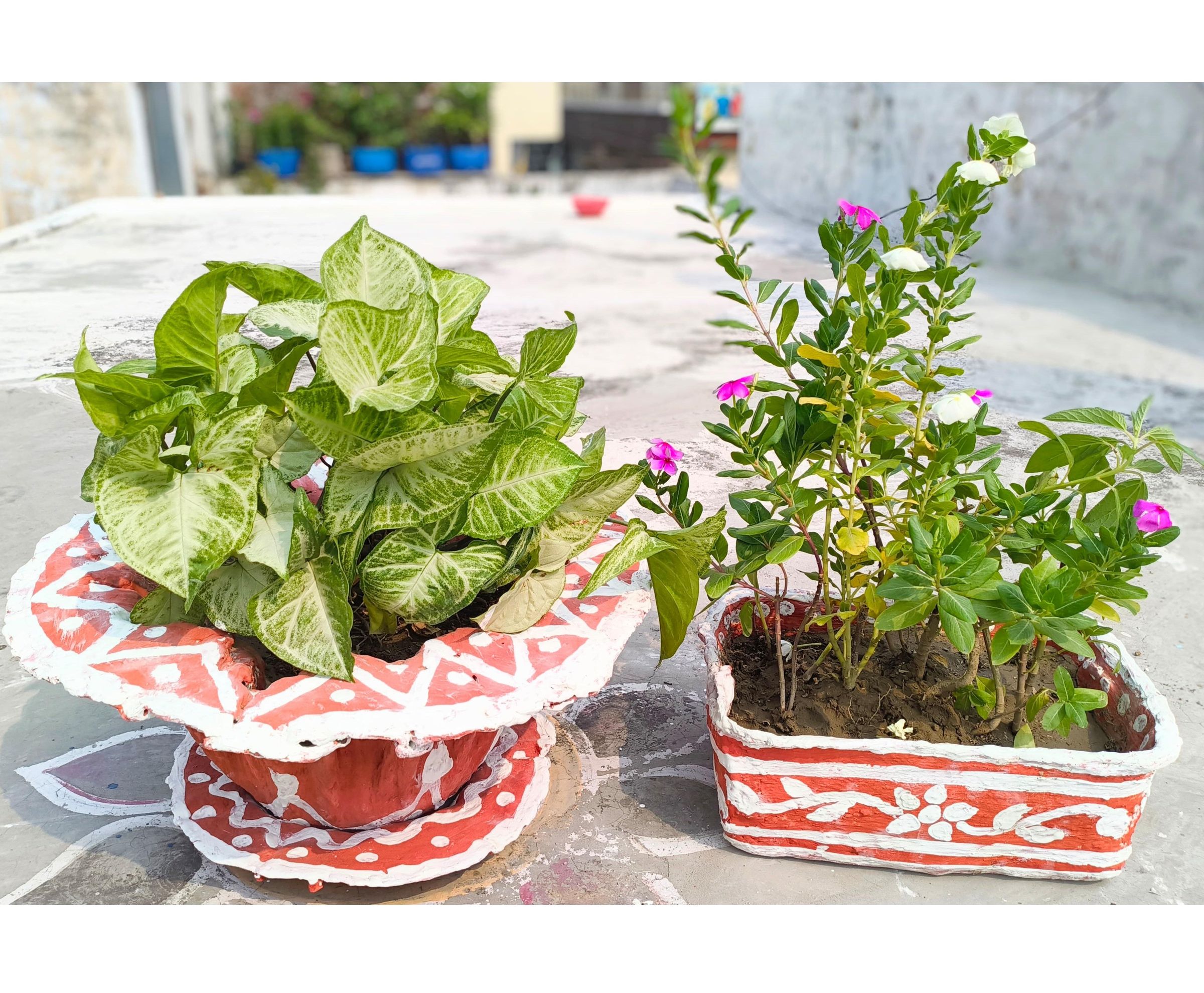 DIY Garden Pots From Old Cloth and Cement : 10 Steps (with Pictures) -  Instructables