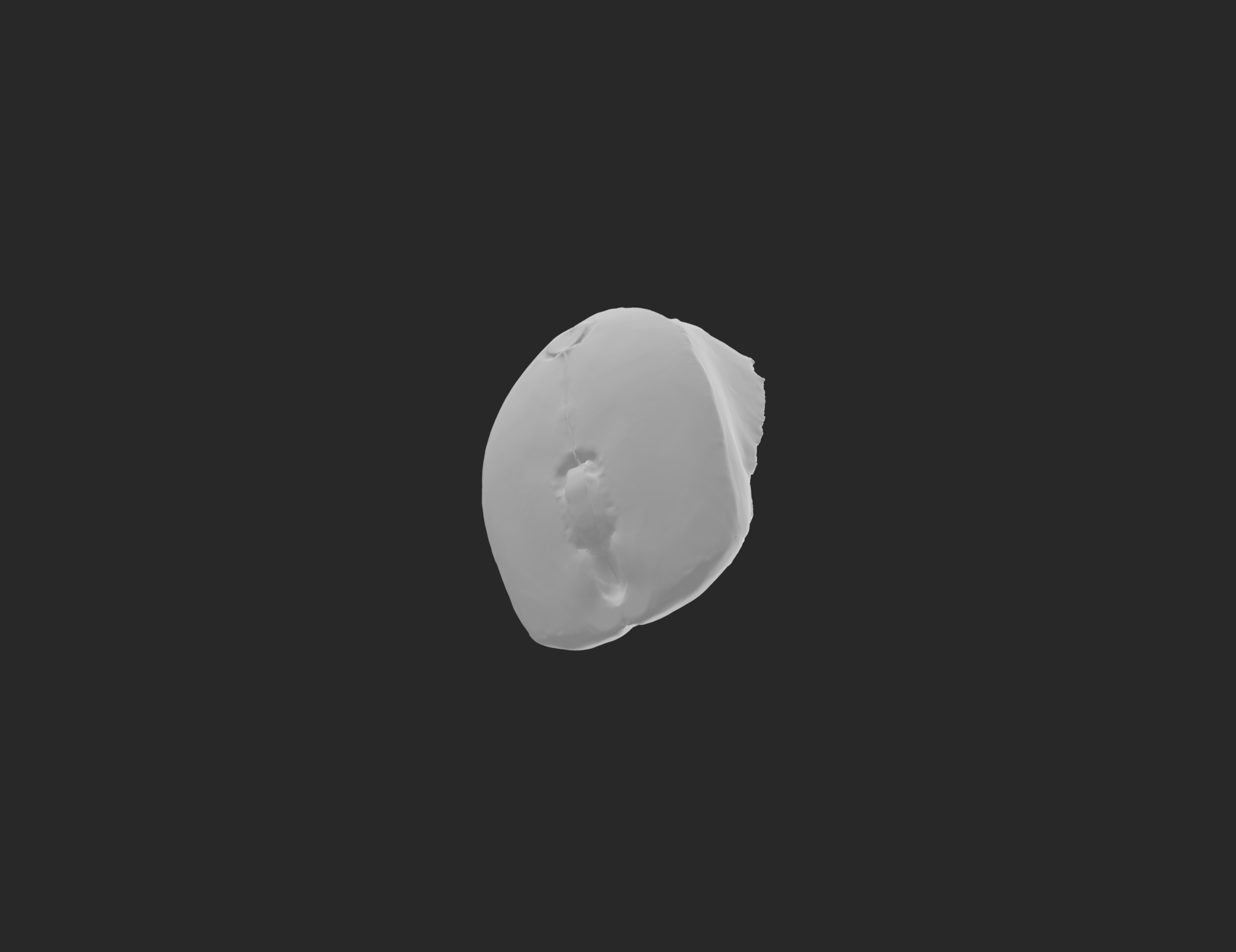 3D Scanning Mouse