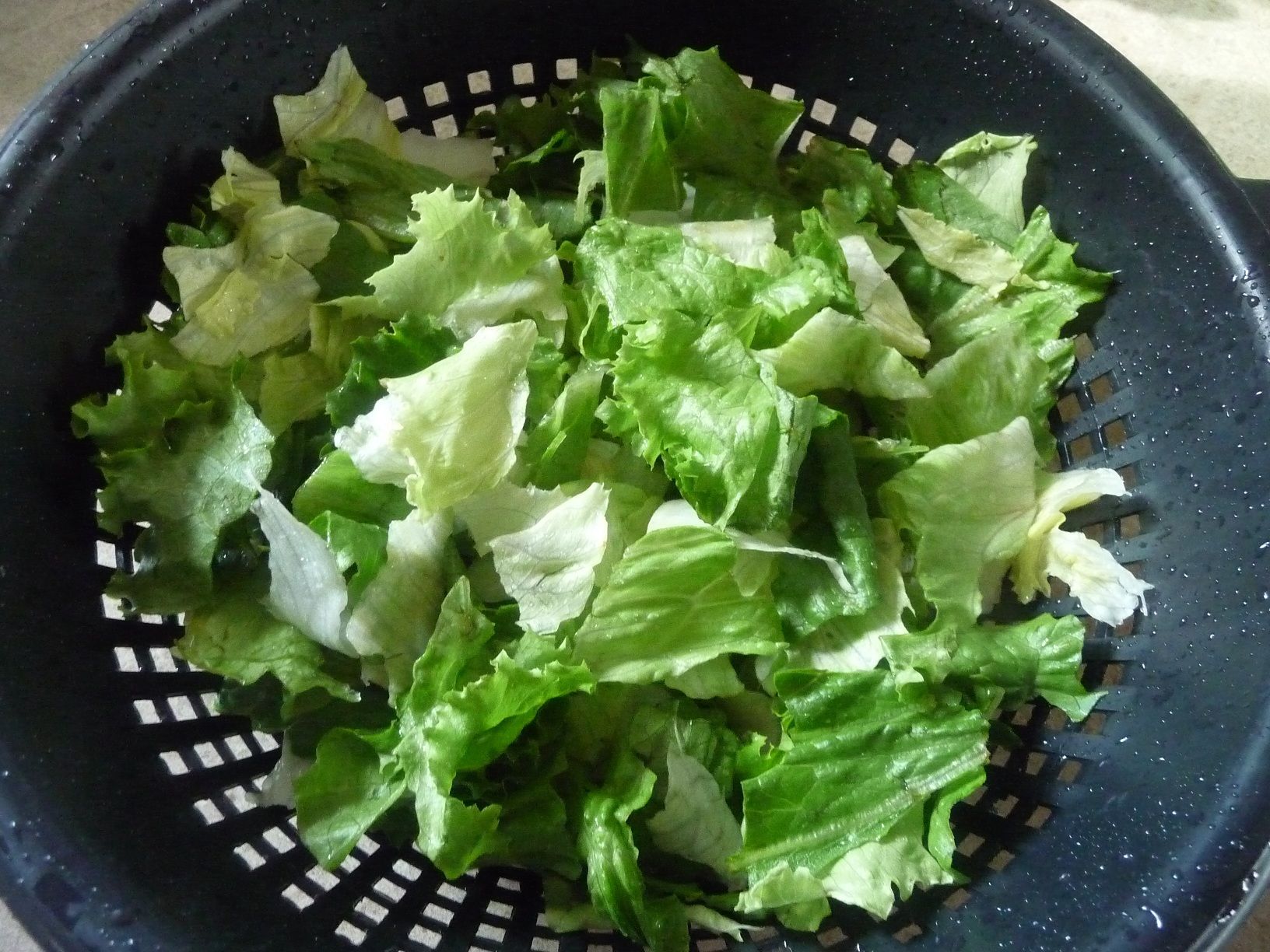 Keep Salad Greens Fresh! (with Pictures) Instructables