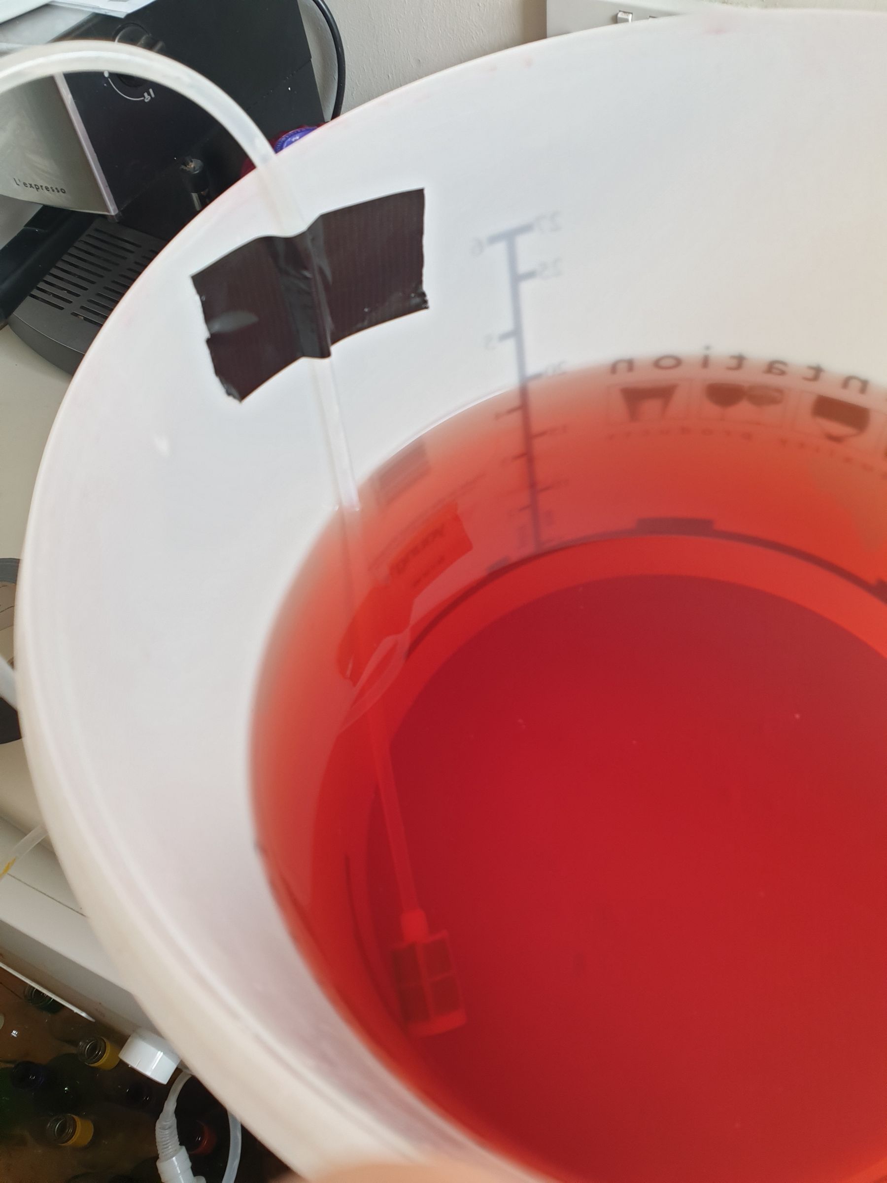 How to Make Your Own Wine From Grapes at Home 20 Steps (with Pictures