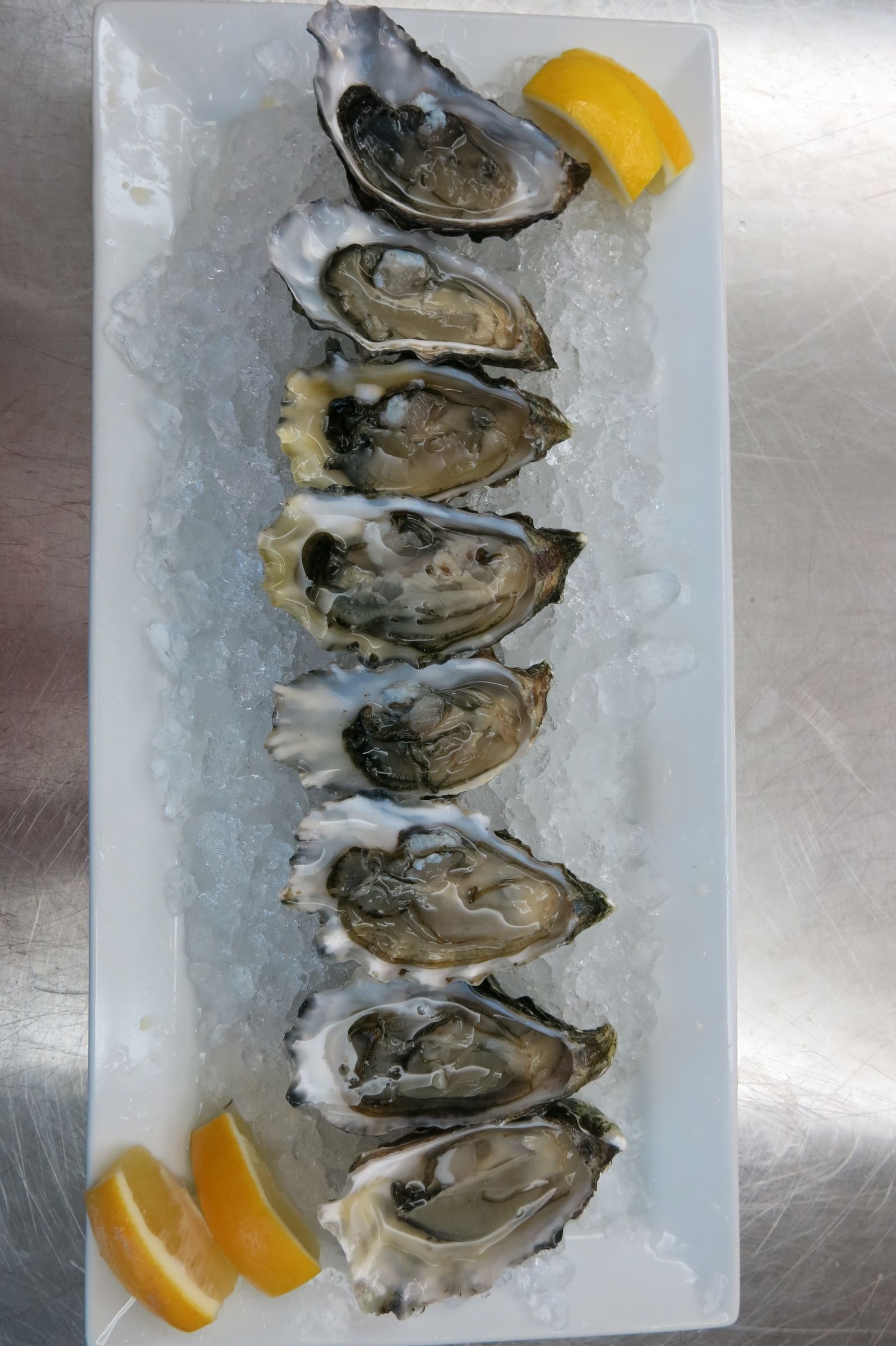 How to Open Oysters 4 Steps (with Pictures) Instructables