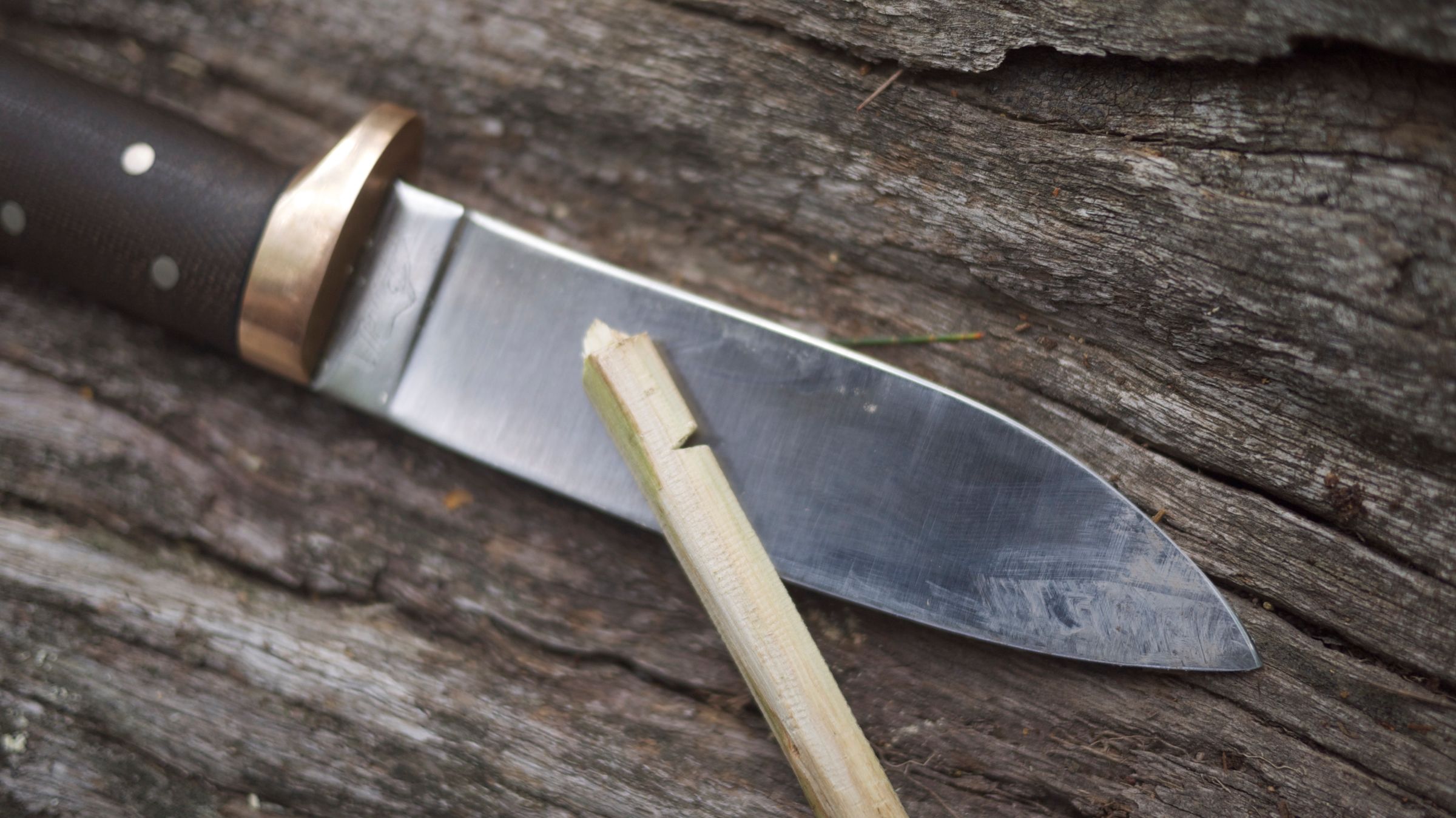 Hand Drill Fire With Green Wood! 9 Steps (with Pictures) Instructables