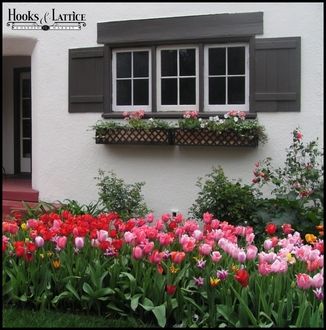 Make Your Home New Again by Installing Customized Window Boxes