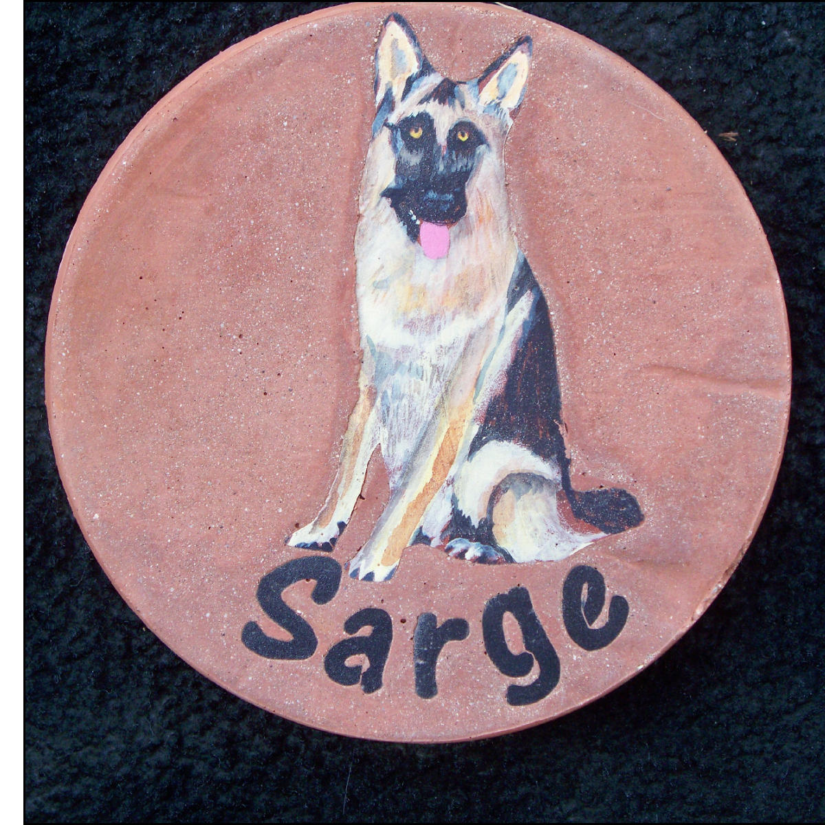 Make Pet Portraits in Concrete