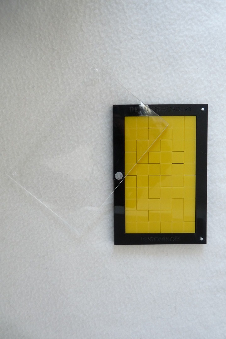 Pentominoes in a Case