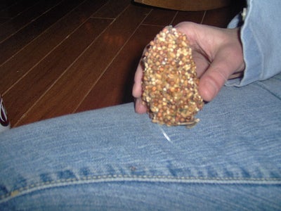 Step 5- Adding String