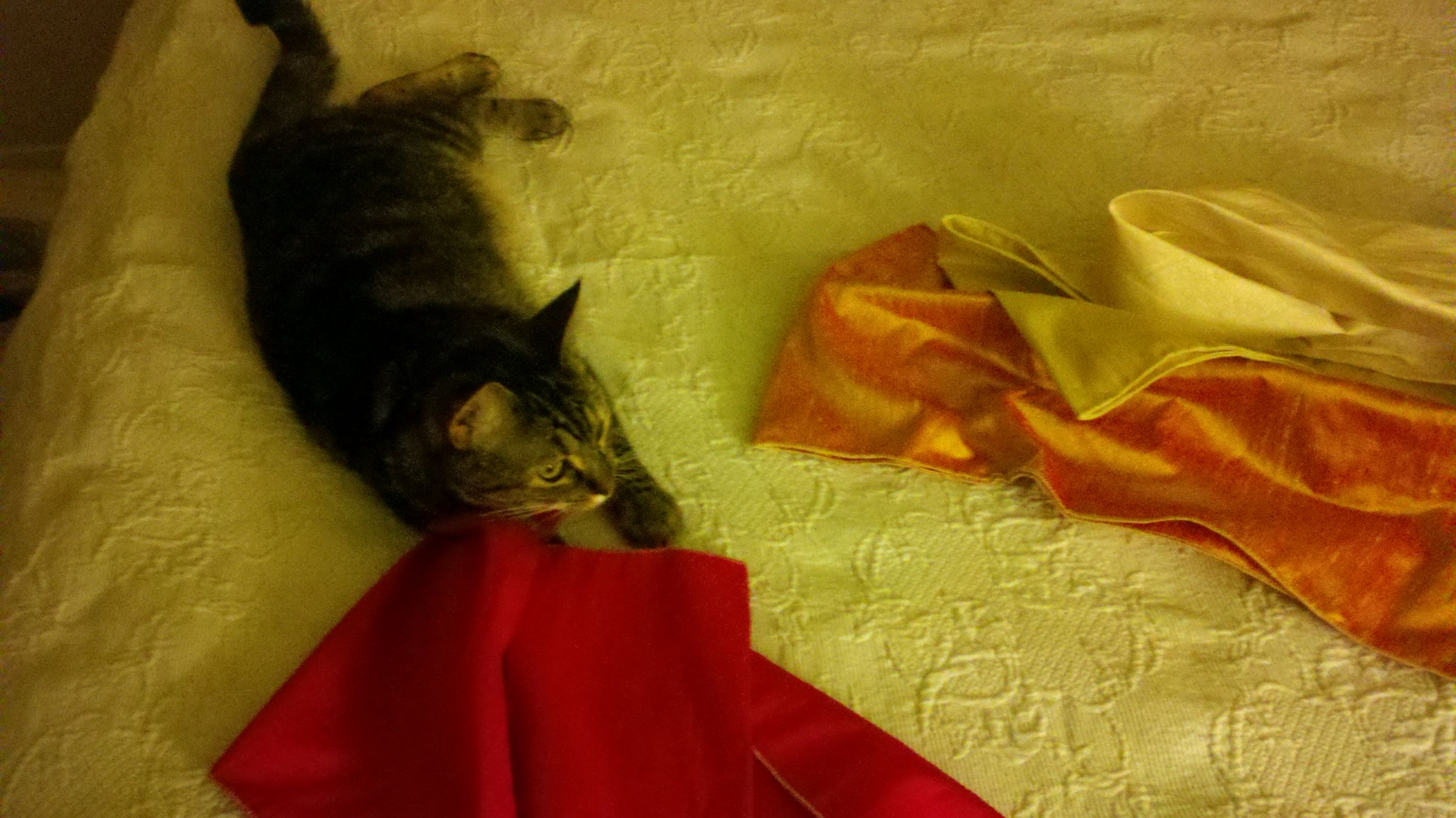 The Ultimate Cat Scratching Post