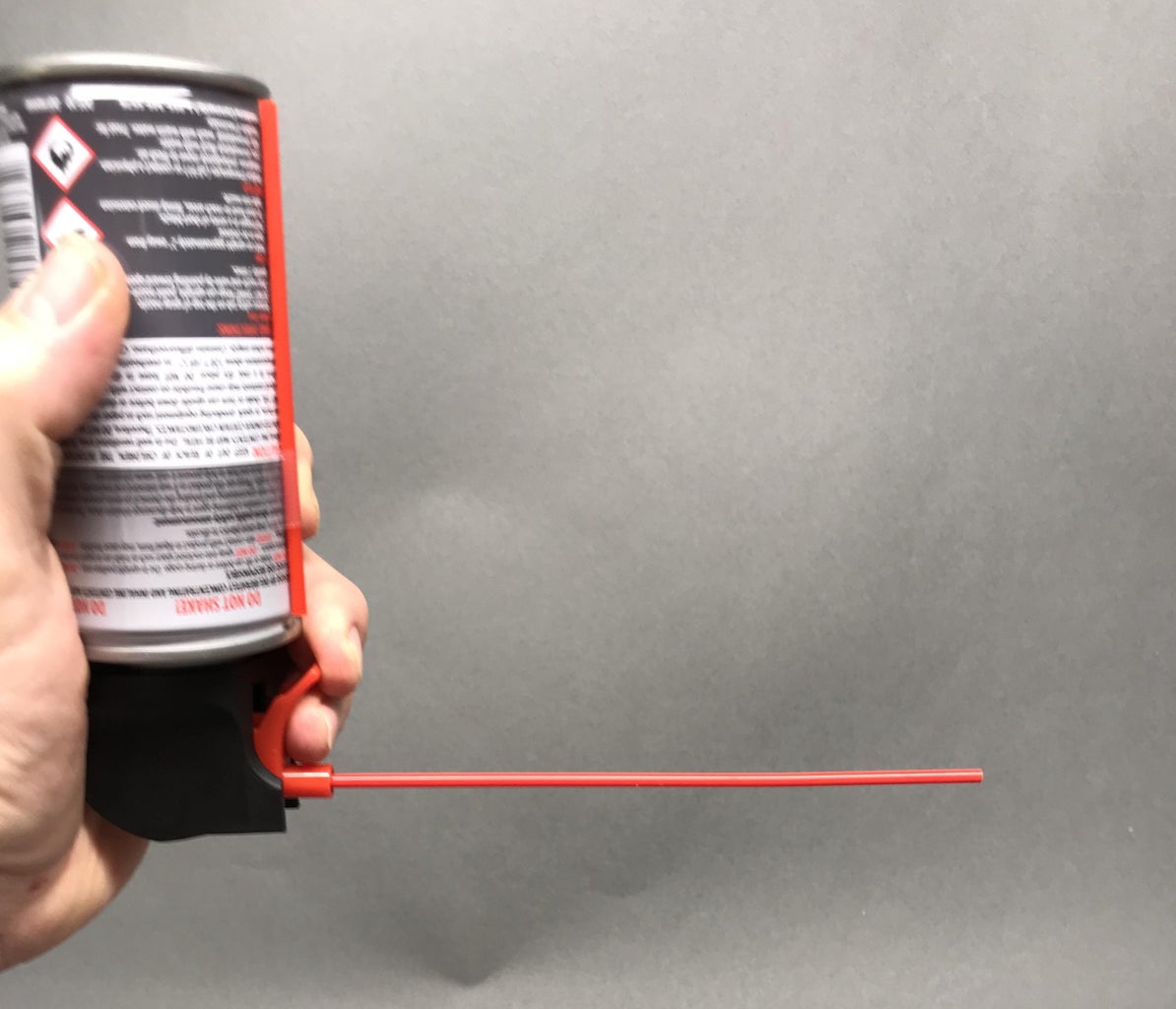 how to remove a wasp from your house