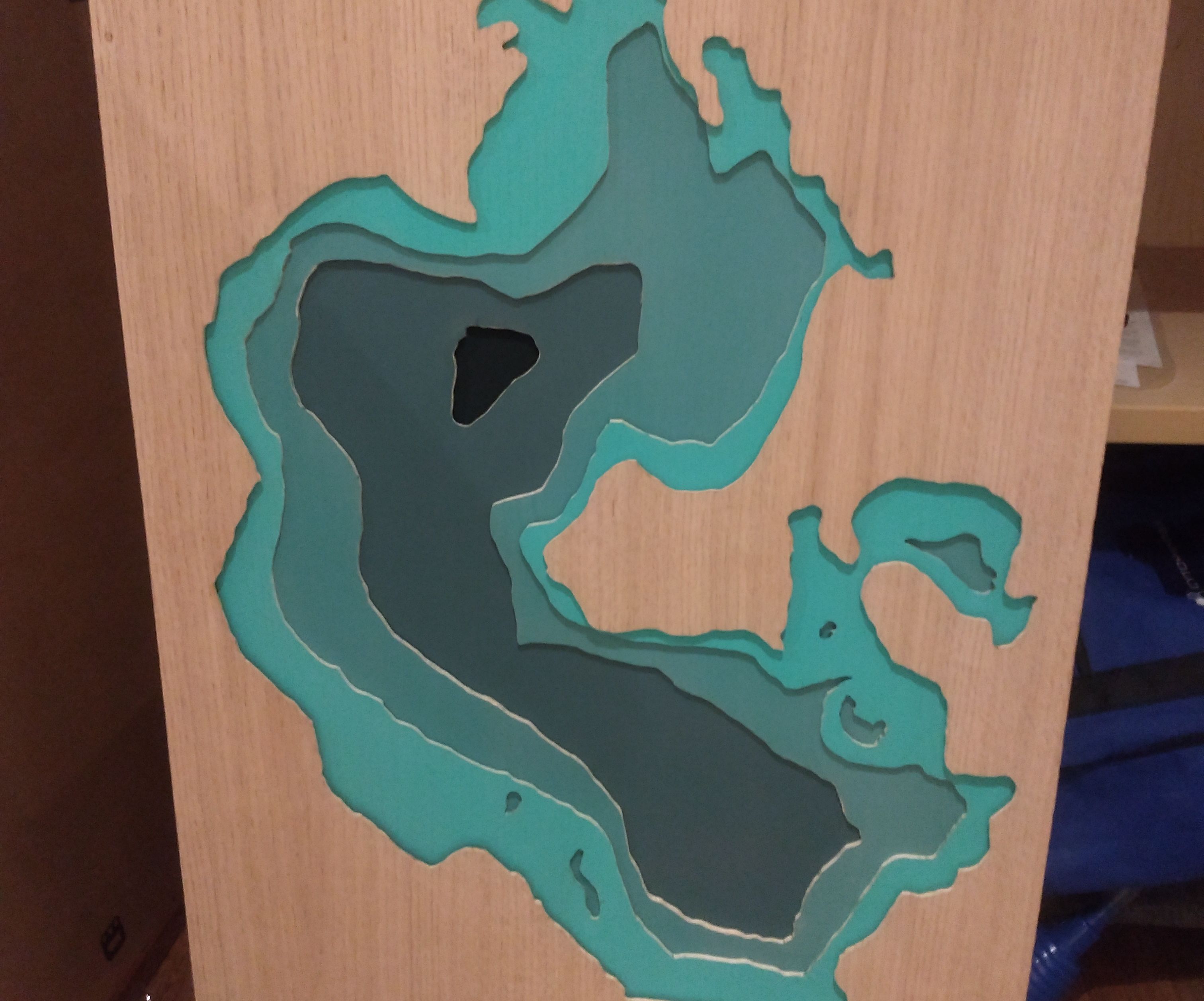Wooden 3D Topographical Map