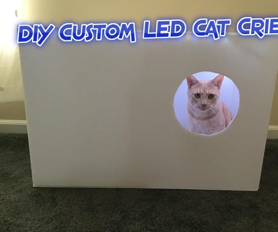 DIY Custom LED Cat Crib