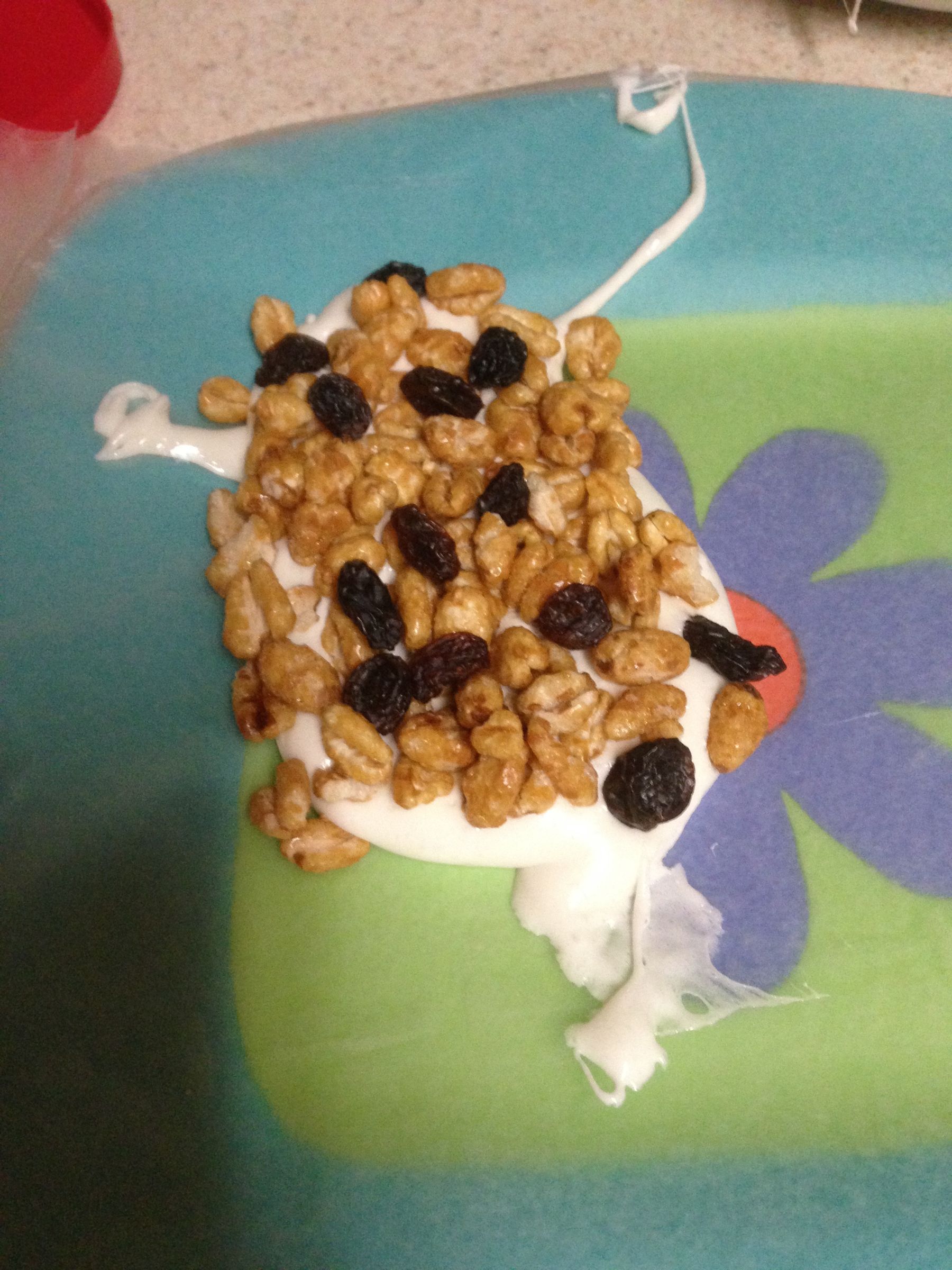 Cheap and Easy Breakfast Bars