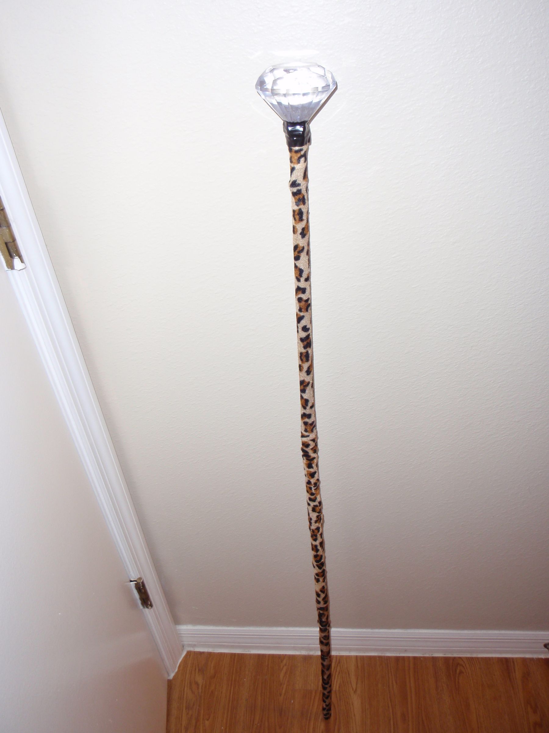 "Pimp" Cane, Led