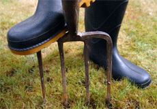 Using Your Compost for Your Lawn