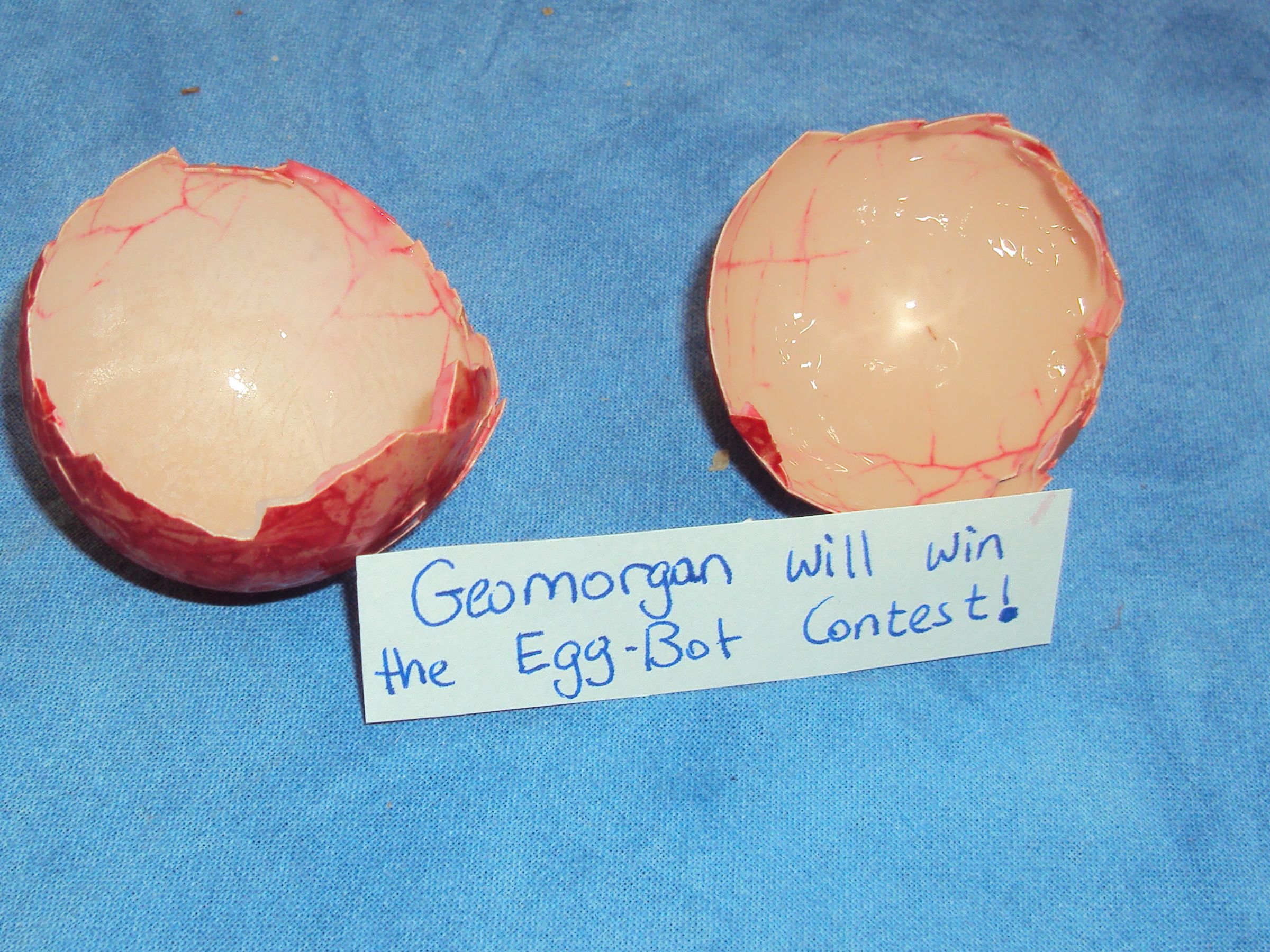 An Egg-cellent Egg Fortune