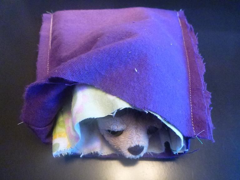 How To Make A Cat Snuggle Sack at Isabelle Rivers blog