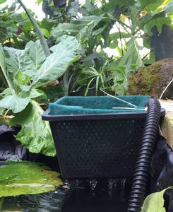 A Totally Optional Way to Keep the Pond Cleaner