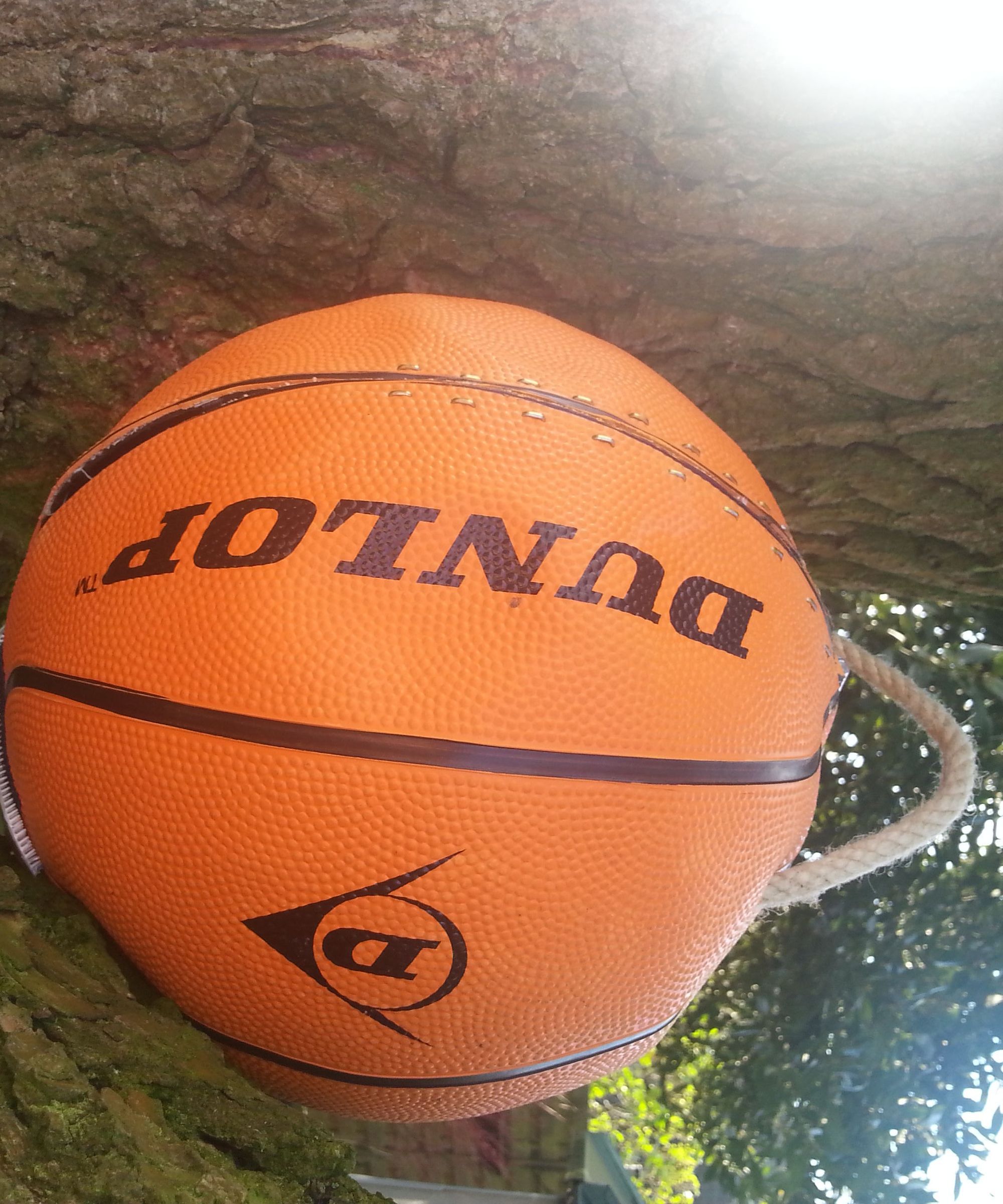 Portable swing in a ball