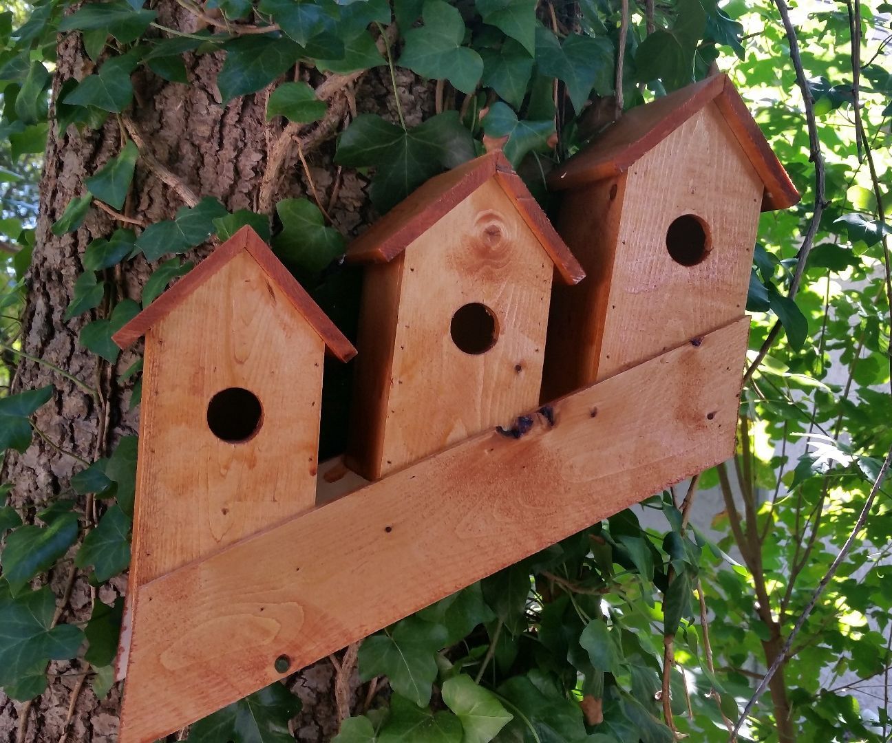 How to Build a Norwegian Bird Condo From a 2X4