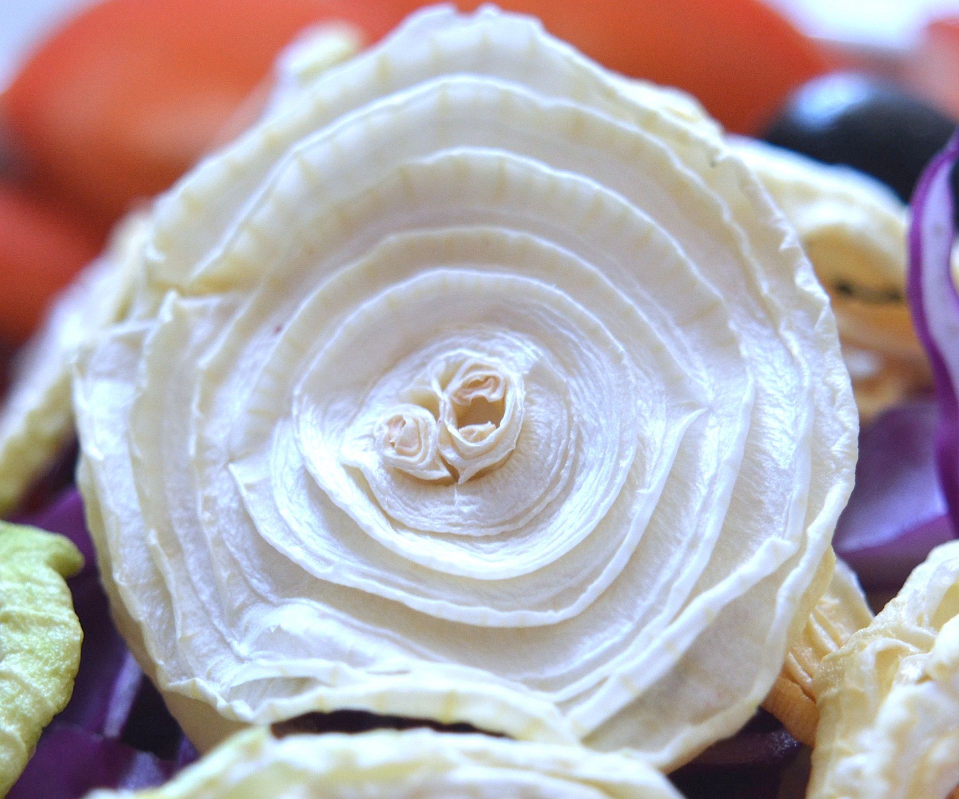 Healthy Homemade Onion Chip Salad for Family :)