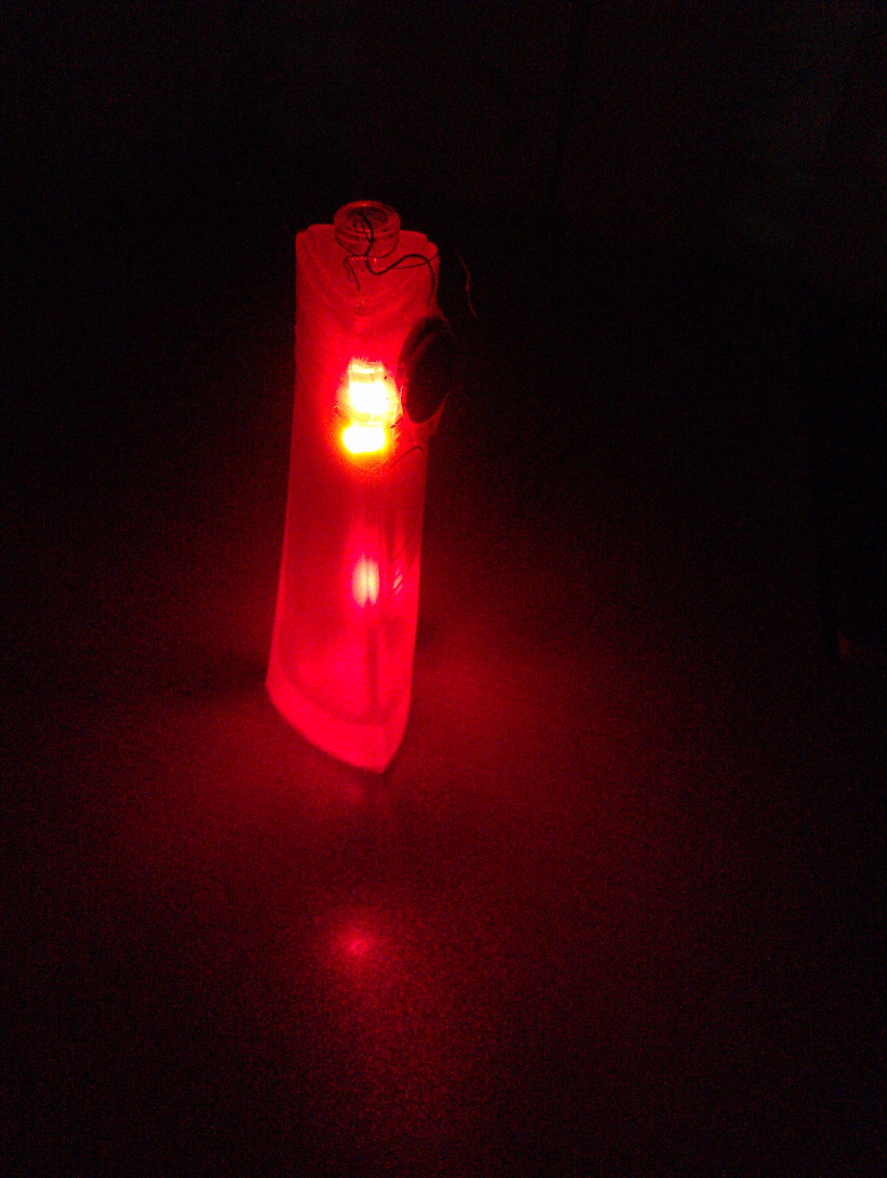 What Can You Do With Empty Perfume Bottle!!?