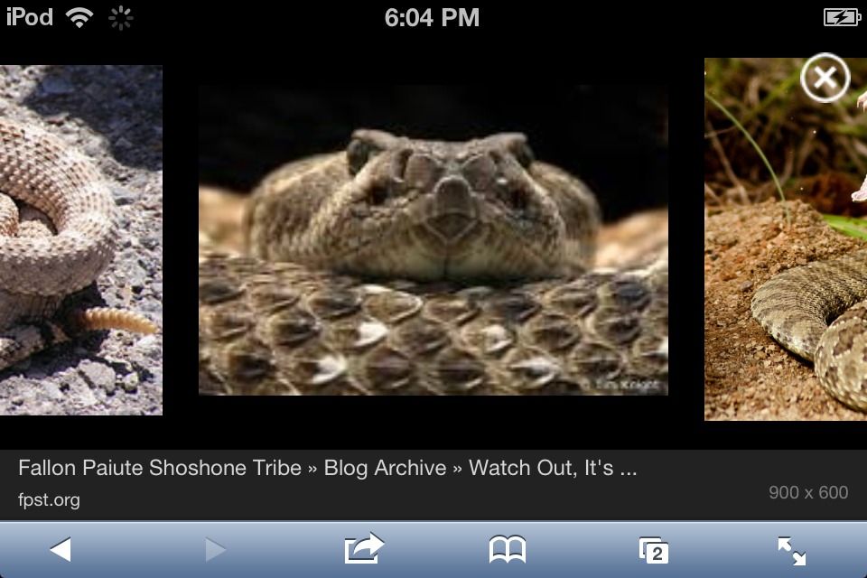 Knex Rattlesnake Noisemaker